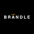 Brandle Limousine