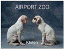 Airport Zoofachhandlung - Dorfstrasse 14 - 8302 Kloten - Tel. 044 814 23 06 - info@airportzoo.ch