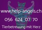 HELP ANGELS | Tierbetreuung mit Herz - Jurastrasse 3 - 5607 Hägglingen - Tel. 056 624 07 70 - help-angels@bluewin.ch