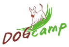 DOGcamp - Europaallee 35 - 8004 Zürich - Tel. 076 498 23 04 - info@dogcamp.ch