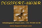 Dogsport-Meyer - Hintergasse 18 - 4704 Niederbipp - Tel. +41 79 554 22 50 - dogsport-meyer@bluewin.ch