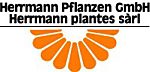 Herrmann Pflanzen GmbH - Bürenstrasse 1 - 2554 Meinisberg - Tel. 032 351 57 88 - info@herrmannpflanzen.ch