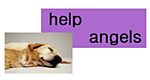 1a dienstleistungen - help angels - Jurastrasse 3 - 5607 Hägglingen - Tel. 056 624 07 70 - info@help-angels.ch