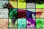 Beratungsstelle für Mensch & Hund - Frauenfelderstrass 20 - 8535 Herdern - Tel. 077 4790155 - info@runter-vom-sofa.ch