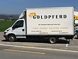 GOLDPFERD