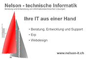 Nelson - technische Informatik