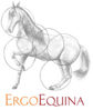 ErgoEquina - Hausmatt, 1 - 6423 Seewen SZ - Tel. 078 742 07 34 - ergoequina@gmx.ch